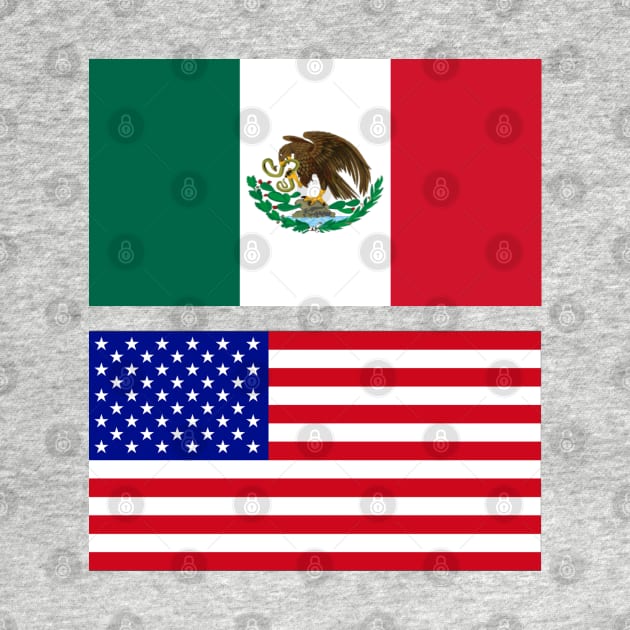 The American and Mexican Flag by Islanr